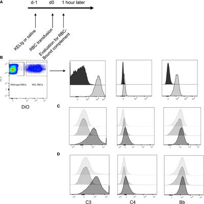 Complement Plays a Critical Role in Inflammation-Induced Immunoprophylaxis Failure in Mice